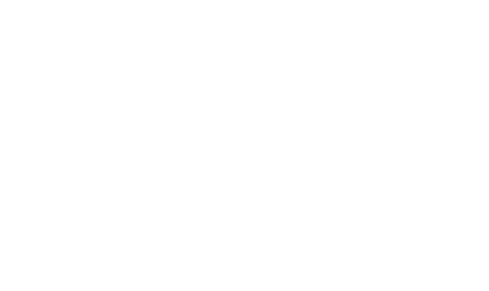AI Rise Institute Logo
