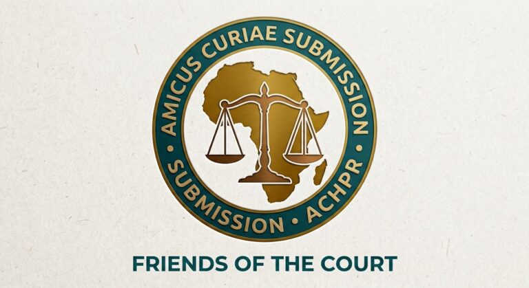 Application by AI-RISE for leave to be admitted as Amicus Curiae